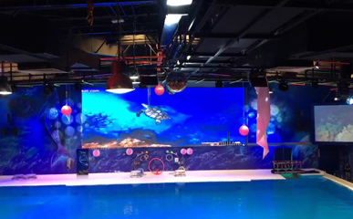 迪拜海洋馆P6户外防水LED显示屏