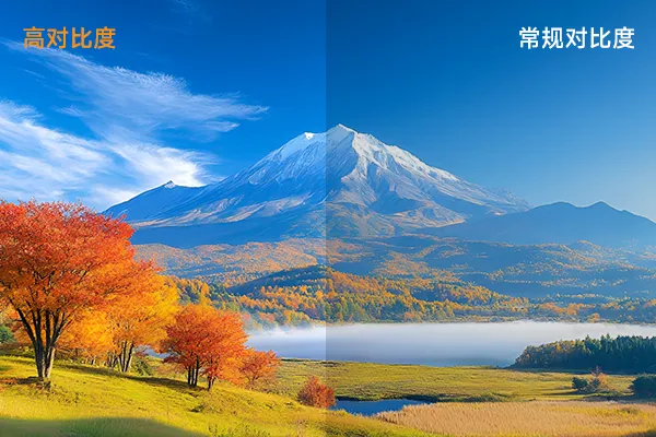 对比度.webp